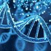 NY Appellate Court: Law enforcement agencies can’t use DNA database for familial searches